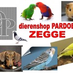 PARDOES