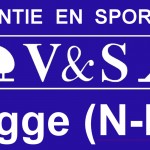 logo V&S blauw